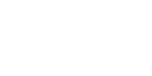 Vitamin Shoppe Logo